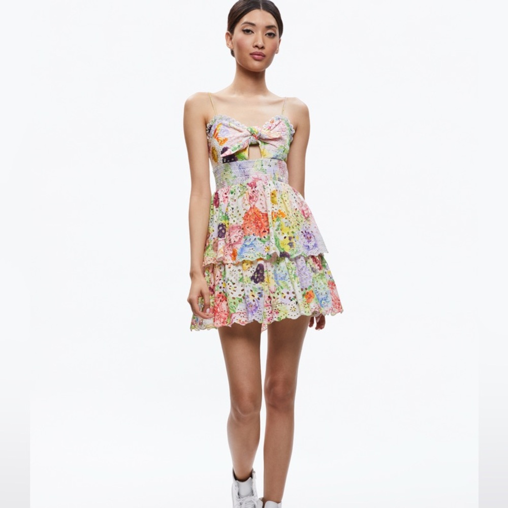 Alice and Olivia FINA TIE FRONT SMOCKED WAIST RUFFLE MINI DRESS Size 4